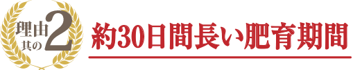 約30日間長い肥育期間